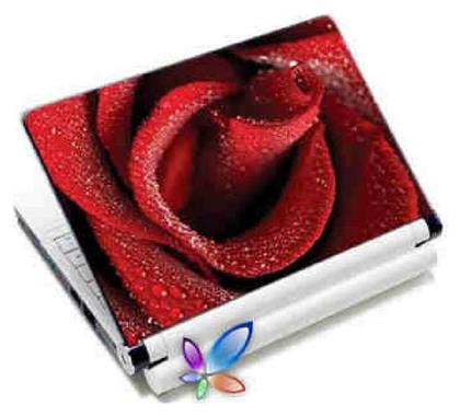 Red Rose αυτοκόλλητο για Laptop 12.4'' Κόκκινο Lamtech