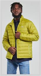 Levi's Oasis Yellow - Levis