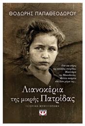 Λιανοκέρια της Μικρής Πατρίδας, Ιστορικό Μυθιστόρημα - Ψυχογιός
