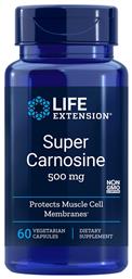 Super Carnosine 500mg 60 φυτικές κάψουλες Life Extension