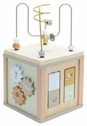 Activity Cube Little Goose για 18+ Μηνών Little Dutch