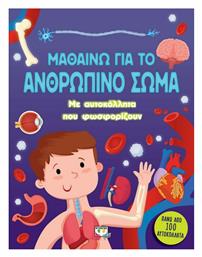 Μαθαίνω για το Ανθρώπινο Σώμα (με Αυτοκόλλητα που Φωσφορίζουν) - Ψυχογιός