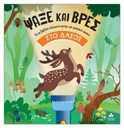 Με Φακό Ψάξε Και Βρες Στο Δάσος - Τζιαμπίρης Πυραμίδα