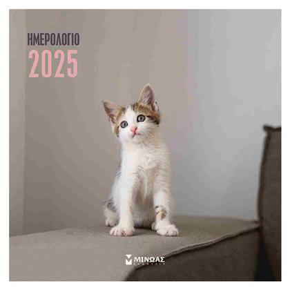 Γατάκια Ημερήσιο Επιτοίχιο Ημερολόγιο 2025 30x30εκ. Μίνωας