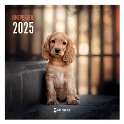 Ημερήσιο Επιτοίχιο Ημερολόγιο 2025 30x30εκ. Μίνωας