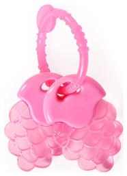 Σταφύλι Μασητικό Οδοντοφυΐας με Νερό από Σιλικόνη για 3 m+ Moni