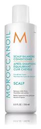 Scalp Balancing Conditioner 250ml Moroccanoil