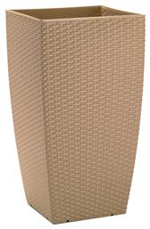 Natura Κασπώ Desert Sand 31x56.5cm
