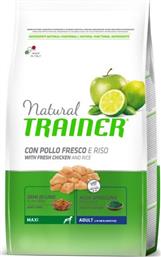 Adult Maxi 12kg Ξηρά Τροφή για Ενήλικους Σκύλους Μεγαλόσωμων Φυλών με Ρύζι και Κοτόπουλο Natural Trainer