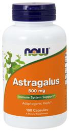 Astragalus 100 κάψουλες Now Foods