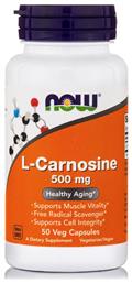 L Carnosine 500mg 50 φυτικές κάψουλες Now Foods
