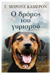 Ο δρόμος του γυρισμού - Ψυχογιός