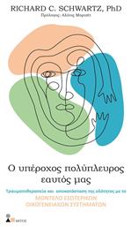 Ο Υπέροχος Πολύπλευρος Εαυτός Μας - Παπασωτηρίου