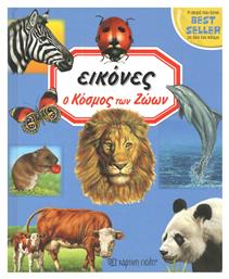 Ο κόσμος των ζώων - Χάρτινη Πόλη