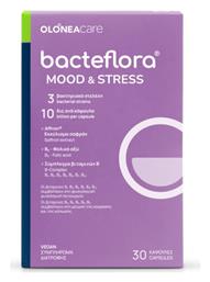 Bacteflora Mood & Stress 30 κάψουλες Olonea