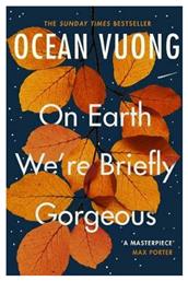 On Earth We're Briefly Gorgeous - Vintage Publishing