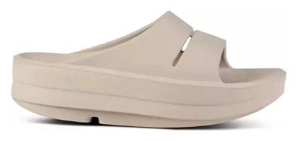 Slides Oofos
