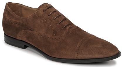 Oxfords ALEX Pellet