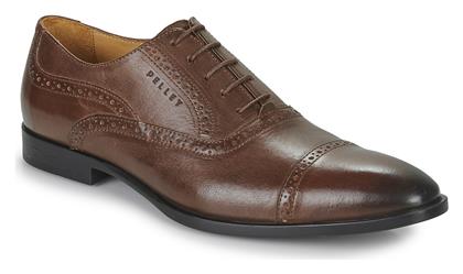 Oxfords ALEX Pellet