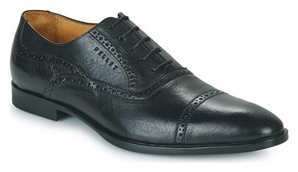 Oxfords ALEX Pellet