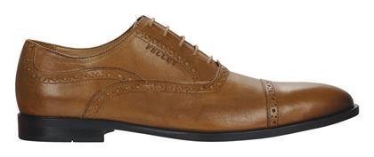 Oxfords ALEX Pellet