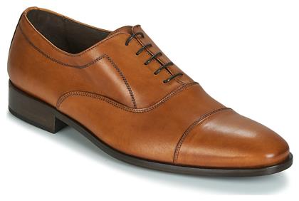 Oxfords INDIANA So Size
