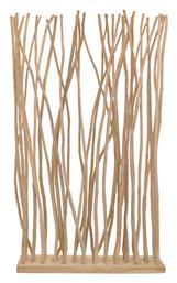 ΔΙΑΦΟΡΑ ΔΙΑΚΟΣΜΗΤΙΚΑ ΔΑΠΕΔΟΥ