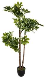 Τεχνητό Φυτό σε Γλάστρα 135cm Pakketo