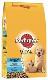 Vital Protection 2kg Ξηρά Τροφή για Κουτάβια Μεσαίων Φυλών με Ρύζι και Κοτόπουλο Pedigree