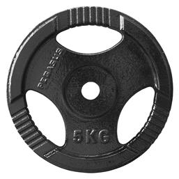 Δίσκος Μεταλλικός Φ29mm με Λαβές Pegasus