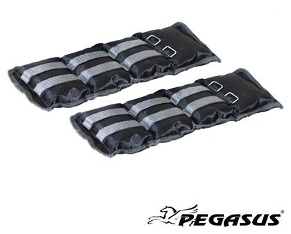 Βαράκια Άκρων 2 x 2kg Pegasus