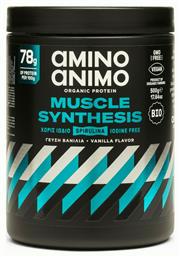 oratory Amino Animo Muscle Synthesis Βανίλια 500gr Physis Lab