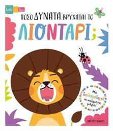 Πόσο Δυνατά Βρυχάται το Λιοντάρι;, Τράβα και Βρες - Μεταίχμιο