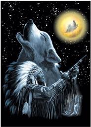 POSTER NATIVE AMERICAN 61 X 91.5 CM - Pyramid International