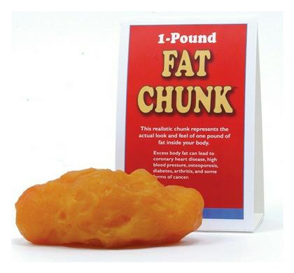 Πρόπλασμα Λιπώδους Ιστού Βάρους 0.45Kg (1 lb) - 3b Scientific