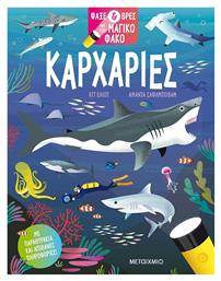 Ψάξε και Βρες με τον Μαγικό Φακό, Καρχαρίες - Μεταίχμιο