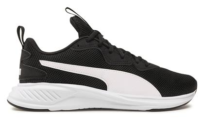 Incinerate Puma