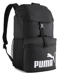 Phase Puma