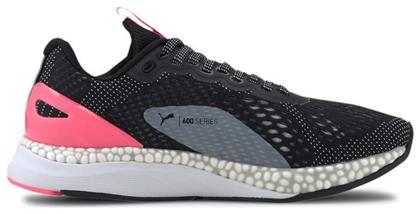Speed 600 2 Puma