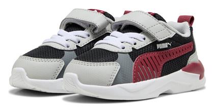 X-ray 3 Running Puma