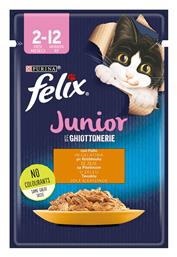 Felix Junior Le Ghiottonerie 85gr Purina