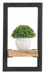 Ράφι Τοίχου Lizard Frame 20x25x35εκ. Μαύρο - Woodwell