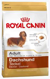 Adult Dachshund Teckel 1.5kg Royal Canin