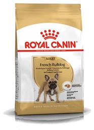 Adult French Bulldog 3kg Royal Canin