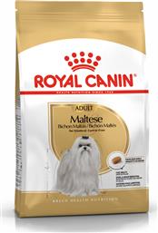 Royal Canin Adult Maltese 1.5kg Ξηρά Τροφή για Ενήλικους Σκύλους Μικρόσωμων Φυλών με Κοτόπουλο και Ρύζι
