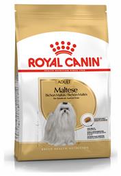 Adult Maltese 1.5kg Royal Canin