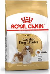 Cavalier King Charles Adult 1.5kg Ξηρά Τροφή για Ενήλικους Σκύλους Μικρόσωμων Φυλών με Καλαμπόκι, Κοτόπουλο και Ρύζι Royal Canin