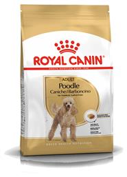Poodle Adult 1.5kg Royal Canin