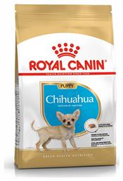 Puppy Chihuahua 1.5kg Royal Canin