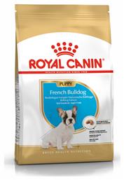 Puppy French Bulldog 3kg Royal Canin